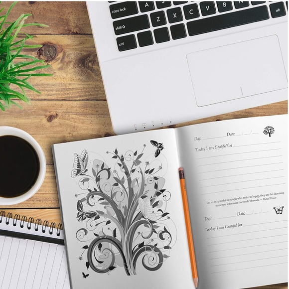 Gratitude Journal - Picture 2 of 3